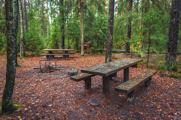 Wooden picnic table covered with fallen leaves in the forest.