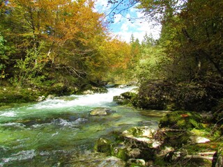 Obraz premium Mostnica creek at Mostnica Gorge in Gorenjska, Slovenia surrounded by colorful orange and yellow autumn forest