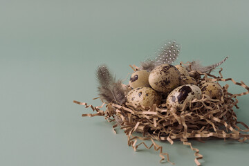 Easter nest made of hay with quail eggs and feathers on a blue background, close-up. Easter composition in pastel colors. Natural Easter background, creative layout