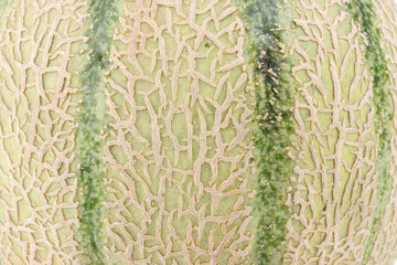 texture of cantaloupe, melon summer fruits 