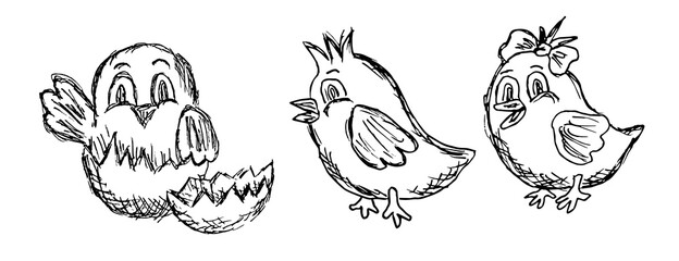Three black and white grunge hand-drawn linear sketch of chickens isolated on a white background. Set of cute newborn vector chicks