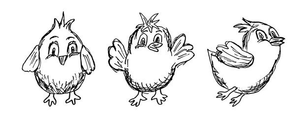 Black and white grunge line easter chicken character in three different poses. A simple vector sketch of a chick drawn by hand in pencil