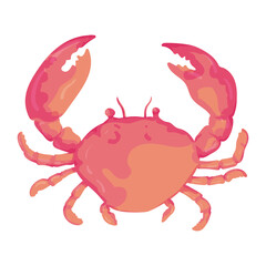 Red crab marine vector illustration. Sea creature in a flat design. Crab shell icon isolated on white background. Aquatic animal with claws cartoon character. Seafood product design template