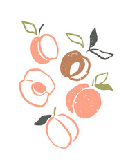 Abstract poster with fruits - apricot. Contemporary art. Vector abstract print