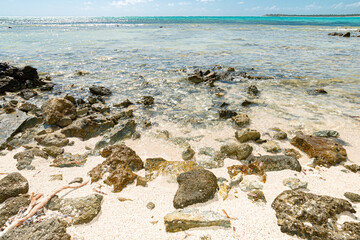 Secluded virgin beach in Tulum, Mexico