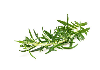 Bunch of fresh rosemary isolated on white
