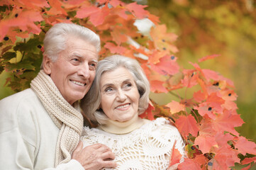 smiling senior couple posing  in the park