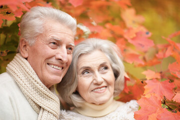 smiling senior couple posing  in the park