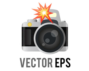 Vector profession black, silver Digital Single Lens Reflex dslr camera icon with flash