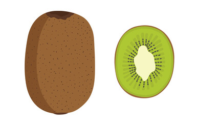 Kiwi Fruit slice, half. Isolated element, object on a white background. Ripe useful. Organic, eco. Drawn by hands. Healthy natural food, vitamins