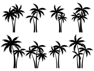 Fototapeten Black palm trees set isolated on white background. Palm silhouettes. Design of palm trees for posters, banners and promotional items. Vector illustration © andyvi