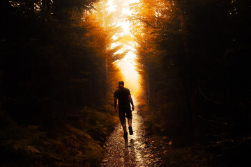 Fototapeta premium silhouette of a person in a forest