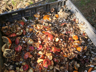 Composting for organic and healthy gardening