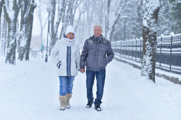 Fototapeta na wymiar senior couple at winter outdoors