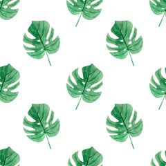 Watercolor hand-drawn tropical pattern with monstera leaves on a white backgrond. Botanical seamless pattern. 