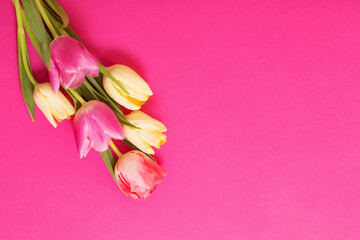 spring flowers on pink paper background