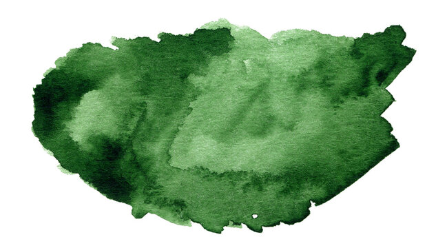 Green watercolor art hand paint on white background isolated,brush texture for text or logo © Oleksandr Blishch