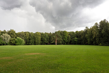 A lush green glade, surrounded by a dense forest, heavy clouds have thickened in the sky and now it will rain 