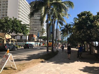 people walking on the street