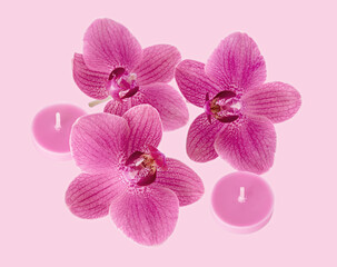 Fototapeta na wymiar Orchid flower and candles on a pink background, SPA concept and aromatherapy