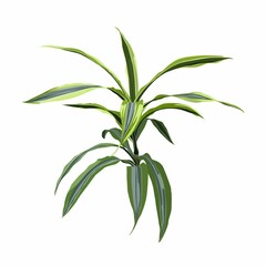 Realistic floor house green plant. Isolated on white illustration icon.