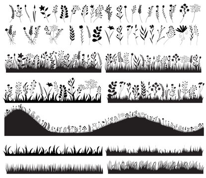 vector, isolated, black silhouette growing grass plants, flowers, set, collection