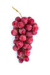 Branch of large ripe red grapes on a isolated background