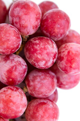 Large ripe red grapes,close up and macro on white background.