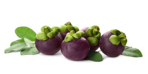 Fresh mangosteen fruits with green leaves on white background