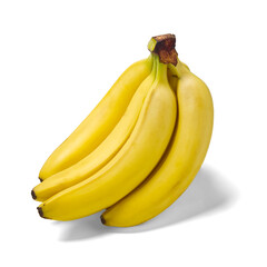 Bunch of bananas isolated on white background. Bunch of ripe yellow fresh bananas