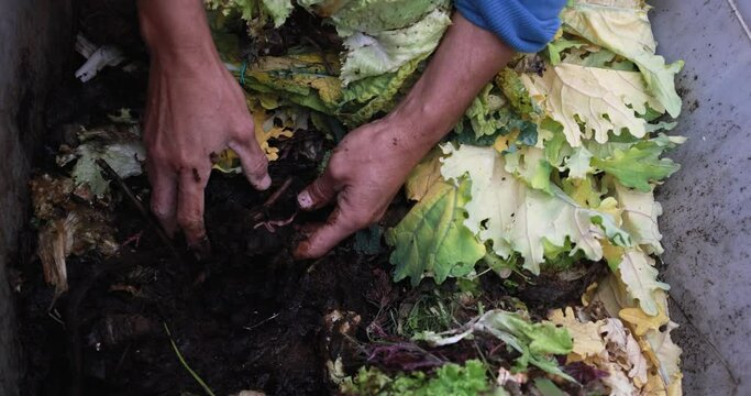 Hands holding compost inside the composter with organic waste