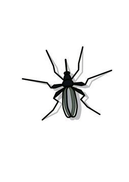 Stechm&uuml;cke, Schnake