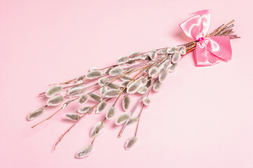 Sprig of willow isolated on pastel pink background