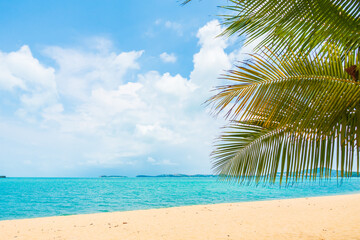 Fototapeta na wymiar Beautiful tropical beach sea ocean with coconut palm tree