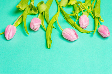 Bouquet of gentle pink tulips on trendy turquoise background