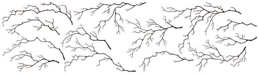 Set of tree branches. Dark silhouettes of dry twigs without leaves on white isolated background.