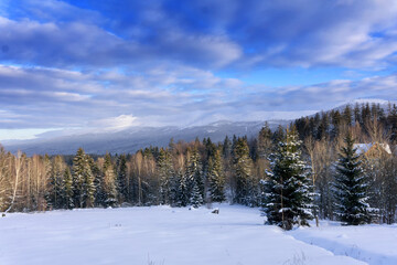 Winter mountain landscape, Poland, Europe. Panorama of the Giant Mountains in sunny winter day, view from Biała Dolina in Szklarska Poreba on Szrenica and Sniezne Kotly, blue sky with clouds.