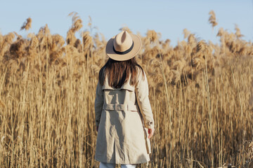 Stylish girl in a beige coat and hat among dry fluffy reeds in sunny day.