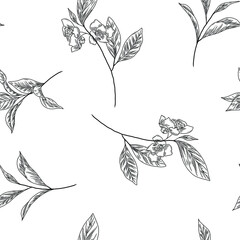 Seamless pattern with line art sketches of branches, hand drawn green tea leaves