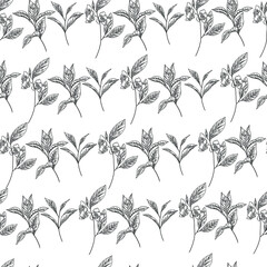 Seamless line art hand drawn pattern with green tea plant