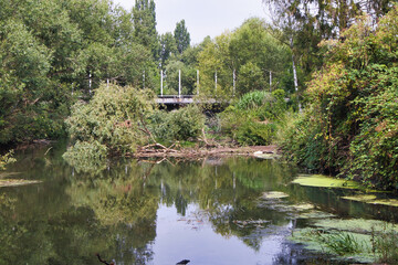 Eisenbahnbr&uuml;cke &uuml;ber die Wei&szlig;e Elster im Leipziger Rosental mit herbstlicher Ufervegetation und Spiegelungen im Wasser, Infrastruktur im Stadtwald, Leipzig, Sachsen, Deutschland