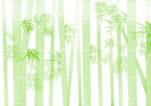竹林の素材　白バック