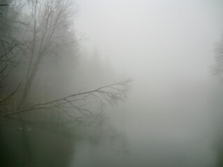 Der Basaltsee in Rhön bei Nebel im Herbst am Morgen mit schiefem Baum, Oberelsbach, Franken Bayern, Deutschland