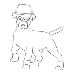 Sketch portrait of a funny dog in full growth, the image of a dog in a hat and boots