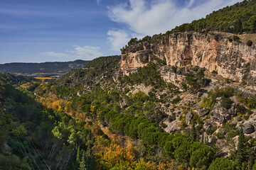 walking inside the mountains with trees