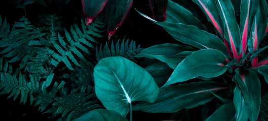 abstract green leaf texture, nature background, tropical leaf
