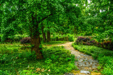 footpath in the park