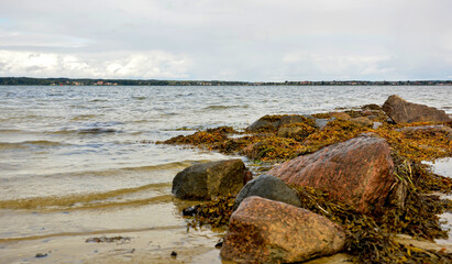 Steine an der Küste der Ostsee in der Flensburger Förde, Schleswig-Holstein, Deutschland