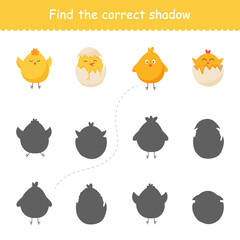 Cute vector chicks, cartoon animals. Graphic illustration on a white background. Set of domestic cartoon animals for print, children development, find the right shadow