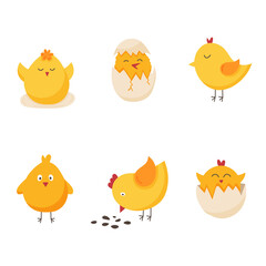 Funny chickens. The graphic illustration is isolated on a white background. Poultry for printing postcards, fabrics, textiles, children's assignments